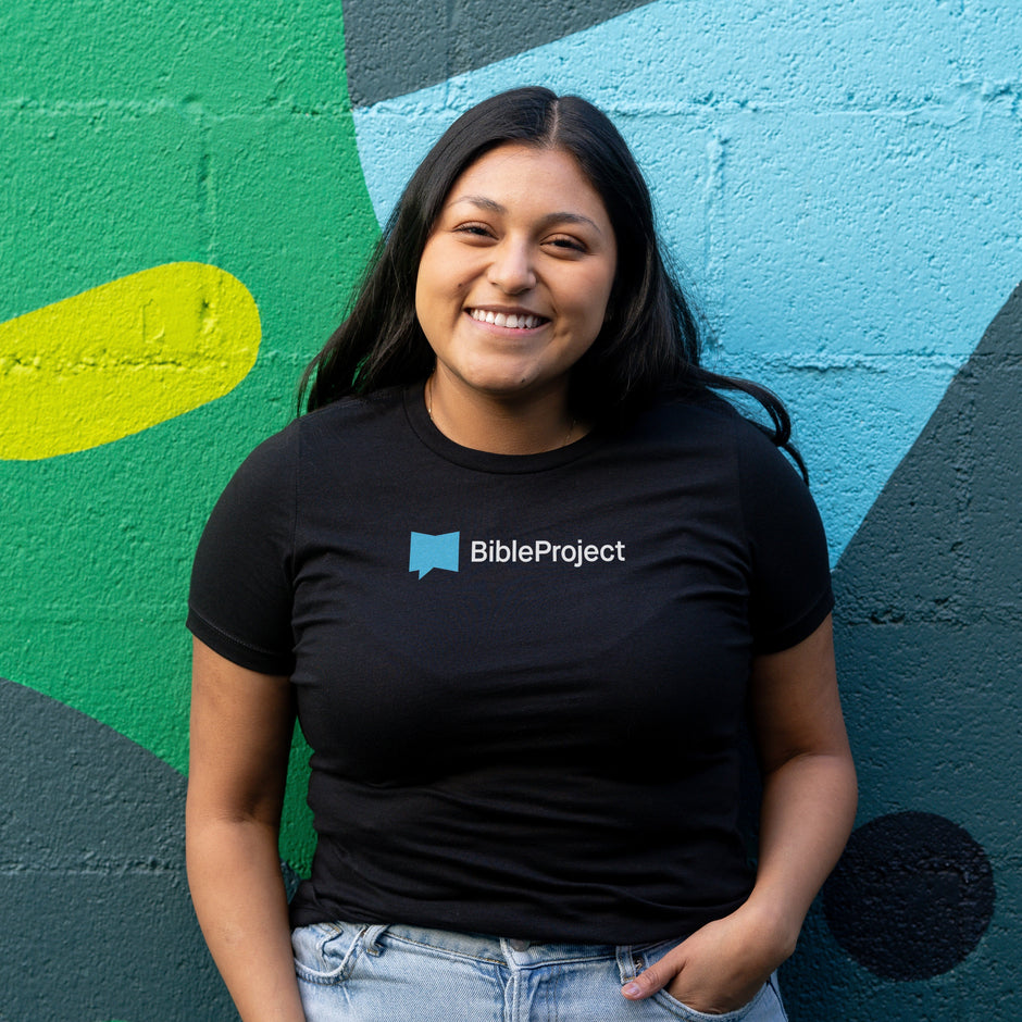 loja-do-projeto-b-blia-bibleproject